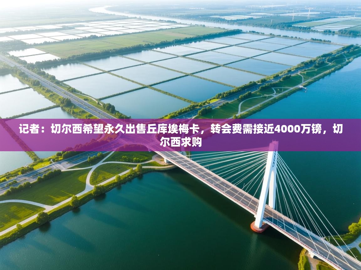 开云体育app-记者:切尔西希望永久出售丘库埃梅卡,转会费需接近4000万镑,切尔西求购 第1张